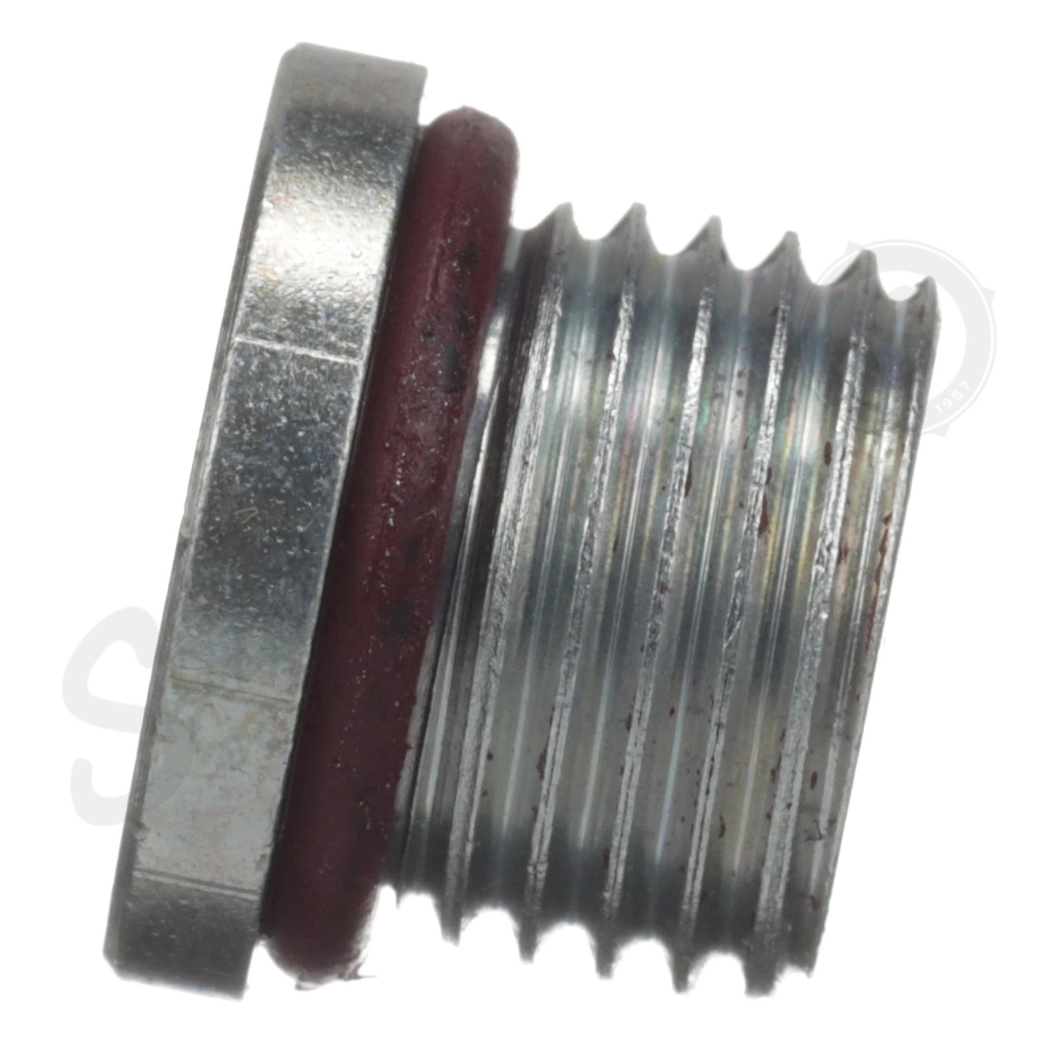 Hex Socket Plug