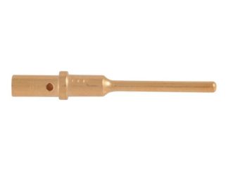 Pin Gn-Term