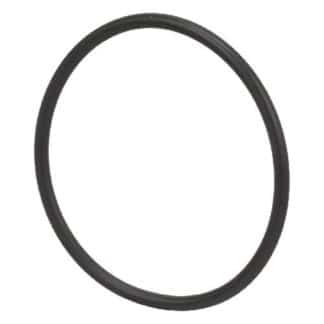 Case Construction O-Ring 87454993 title