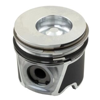 Case Construction Piston #118094740