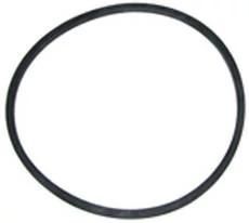 Case Construction Gasket #173368S