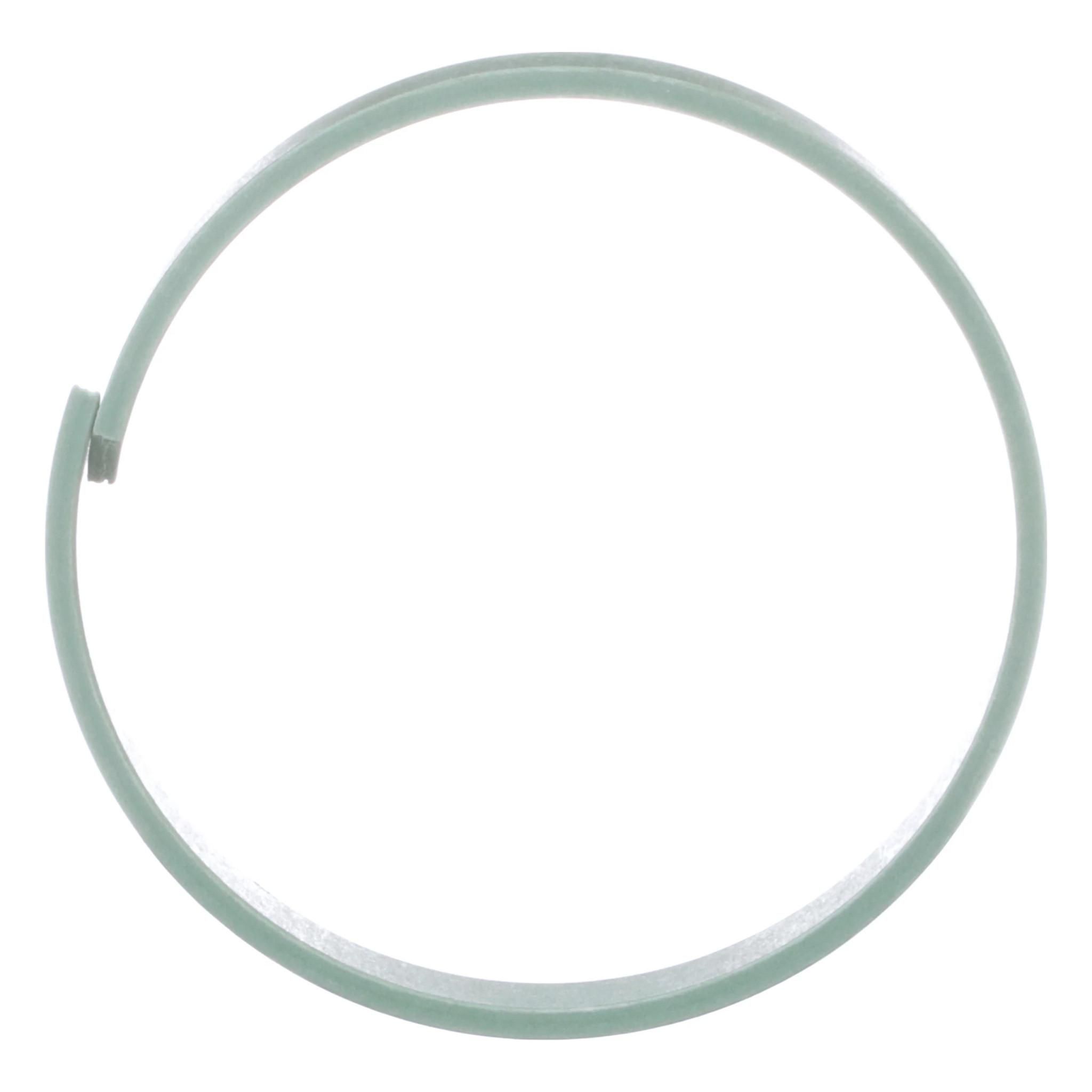 1980245C1 - OEM HYDRAULIC CYLINDER WEAR RING - CASE CONSTRUCTION