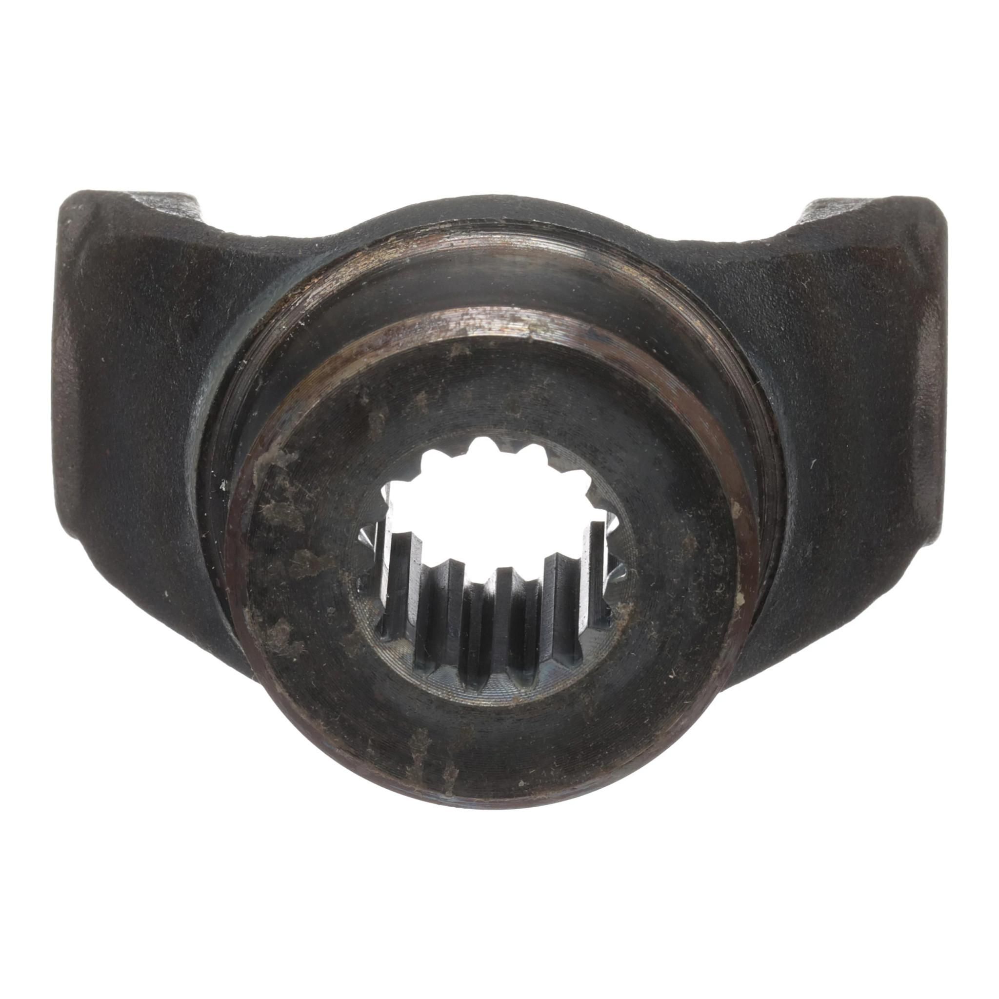 295551A1_RIGHT_NEW