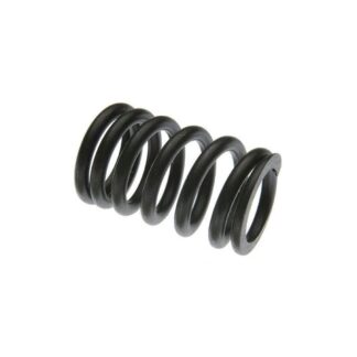 Case Construction Valve Spring #474513811X