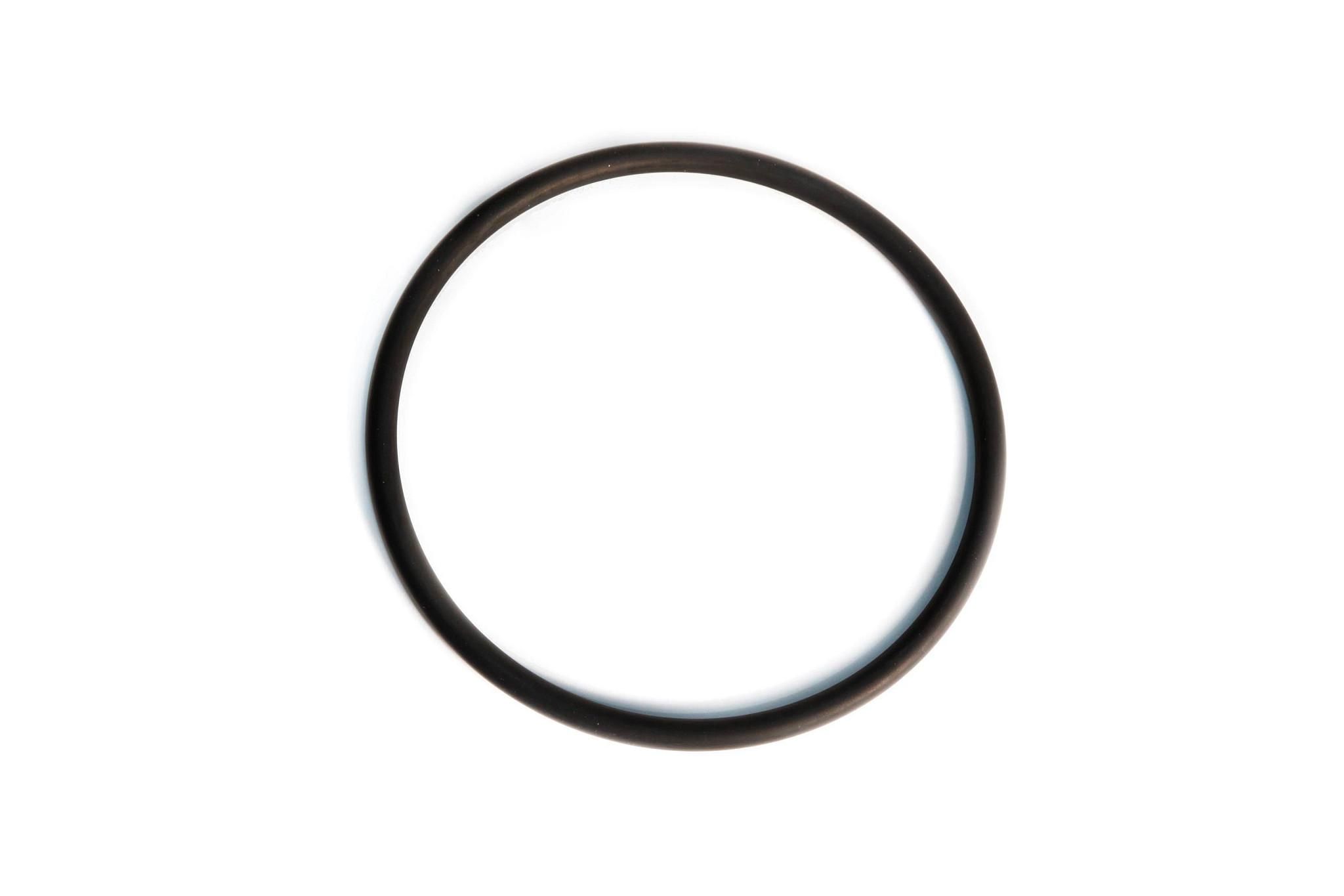 Case Construction O-Ring 4898876