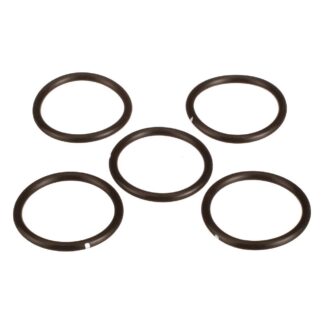 Case Construction O-Ring #512556