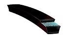 Case Construction Belt #6460BRG