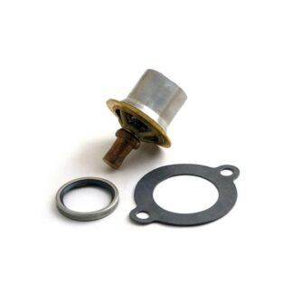 Case Construction Thermostat #71801191