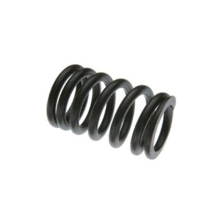 Case Construction Valve Spring #7315744X