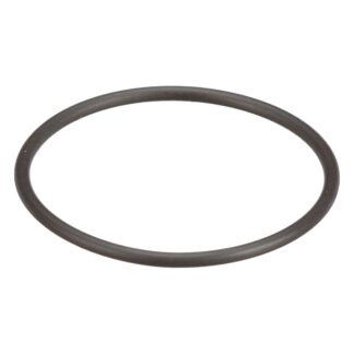 Case Construction O-Ring #8097979