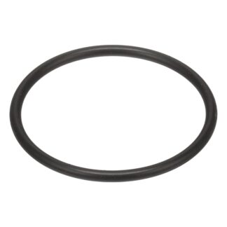 Case Construction O-Ring Plug #8603207
