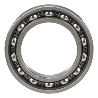 Case Construction Ball Bearing #9800740