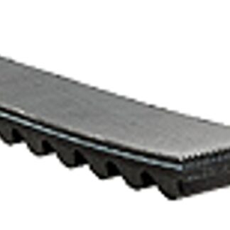 Case Construction Belt #PL20507G