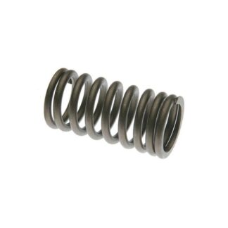 Case Construction Valve Spring #SK198AX
