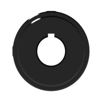 W20030013DS_BACK_NEW