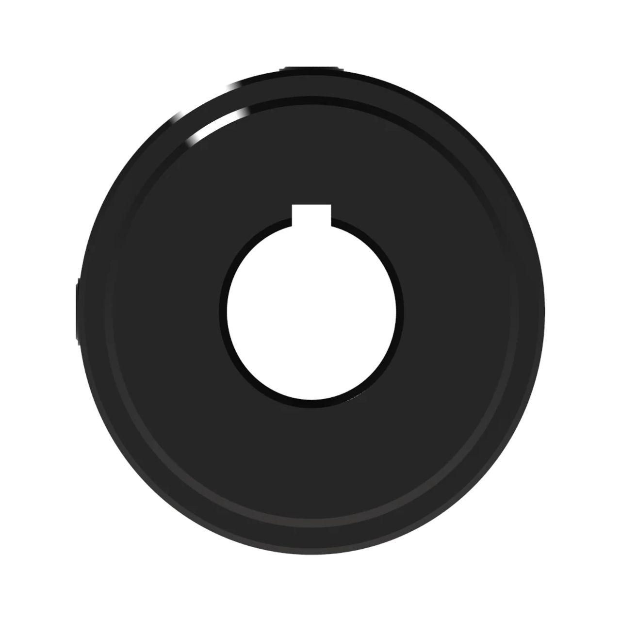 W20030013DS_BACK_NEW