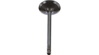 504097327_LEFT 504097327_LEFT